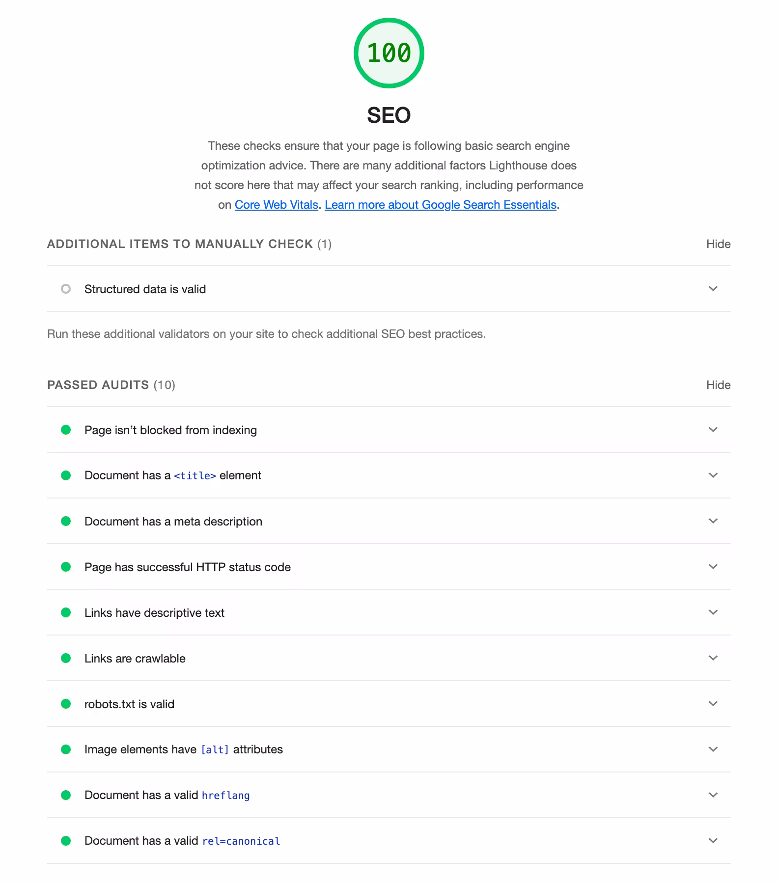 Image showing 100% result from Google Lighthouse SEO Audit.